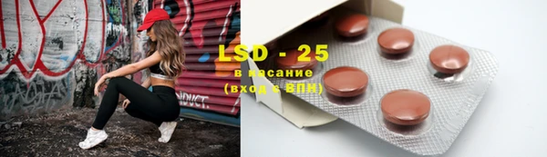 винт Алзамай