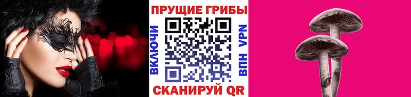 Галлюциногенные грибы мухоморы  закладка  Дюртюли 